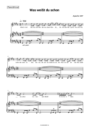 undefined Apache 207 - Was weißt du schon