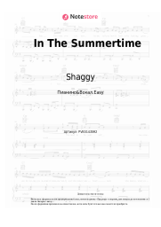 undefined Shaggy, Rayvon - In The Summertime