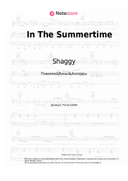 undefined Shaggy, Rayvon - In The Summertime