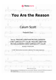 undefined Calum Scott, Leona Lewis - You Are the Reason