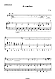 undefined Brings - Sunderlein