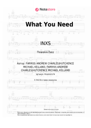 undefined INXS - What You Need