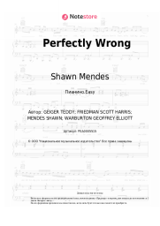 undefined Shawn Mendes - Perfectly Wrong
