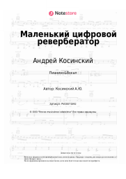 undefined Андрей Косинский - Маленький цифровой ревербератор