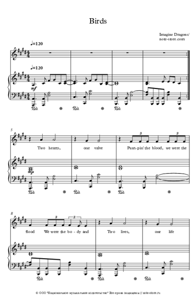 undefined Imagine Dragons - Birds