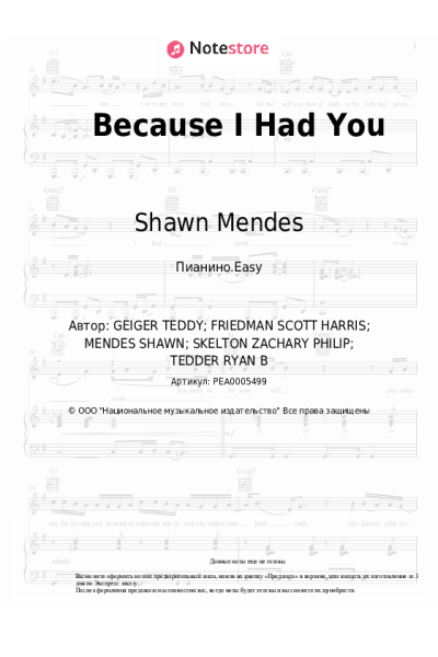 undefined Shawn Mendes - Because I Had You