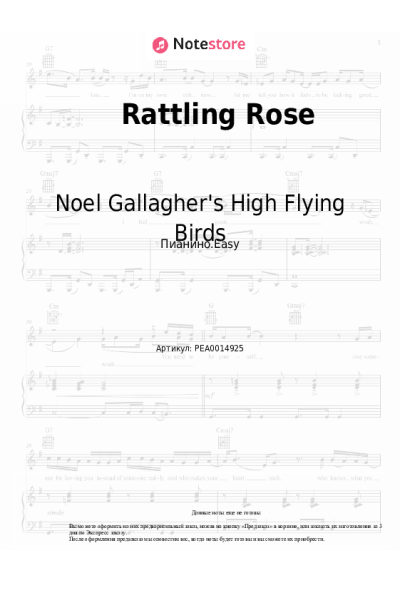 undefined Noel Gallagher's High Flying Birds - Rattling Rose