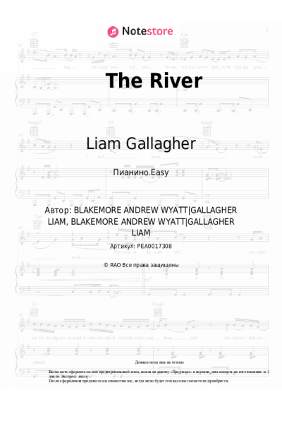 undefined Liam Gallagher - The River