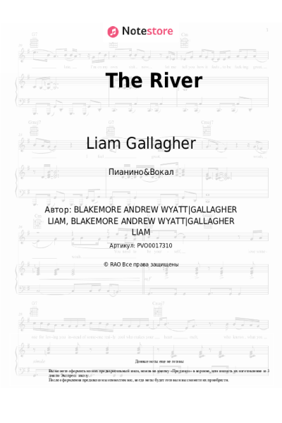 undefined Liam Gallagher - The River