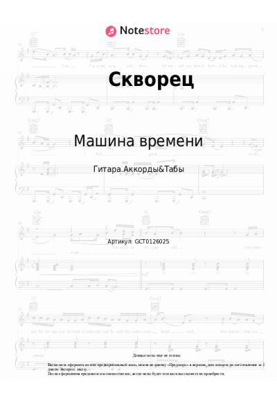 undefined Машина времени - Скворец