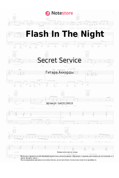undefined Secret Service - Flash In The Night
