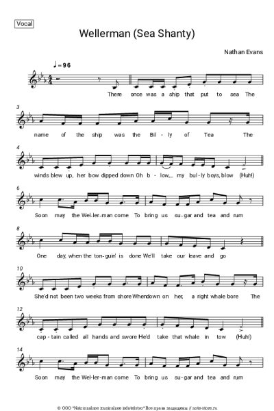 undefined Nathan Evans - Wellerman (Sea Shanty)