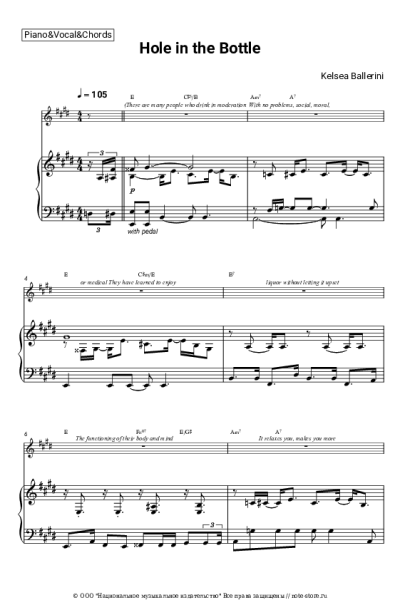 undefined Kelsea Ballerini - Hole in the Bottle