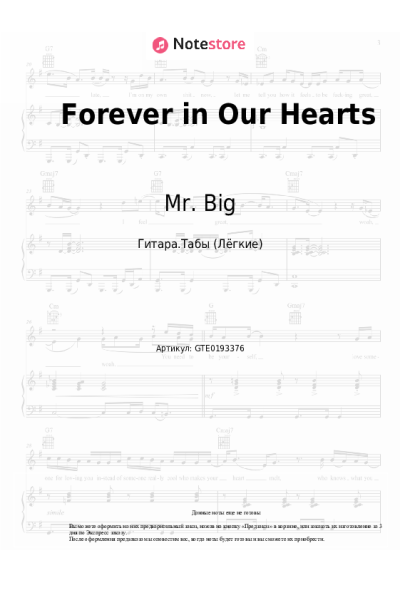 undefined Mr. Big - Forever in Our Hearts