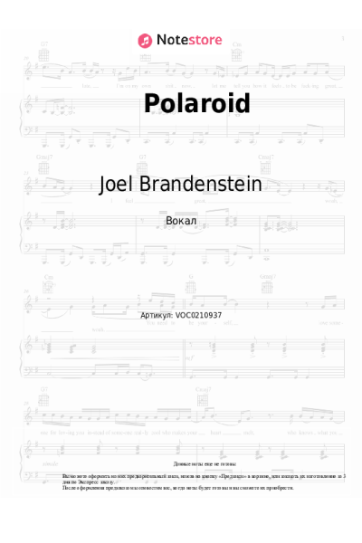 undefined Joel Brandenstein - Polaroid
