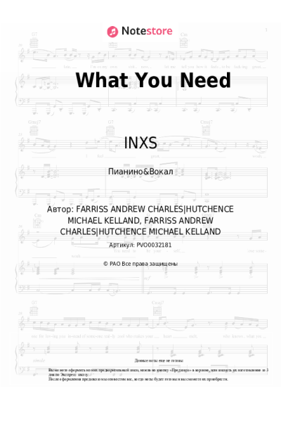 undefined INXS - What You Need
