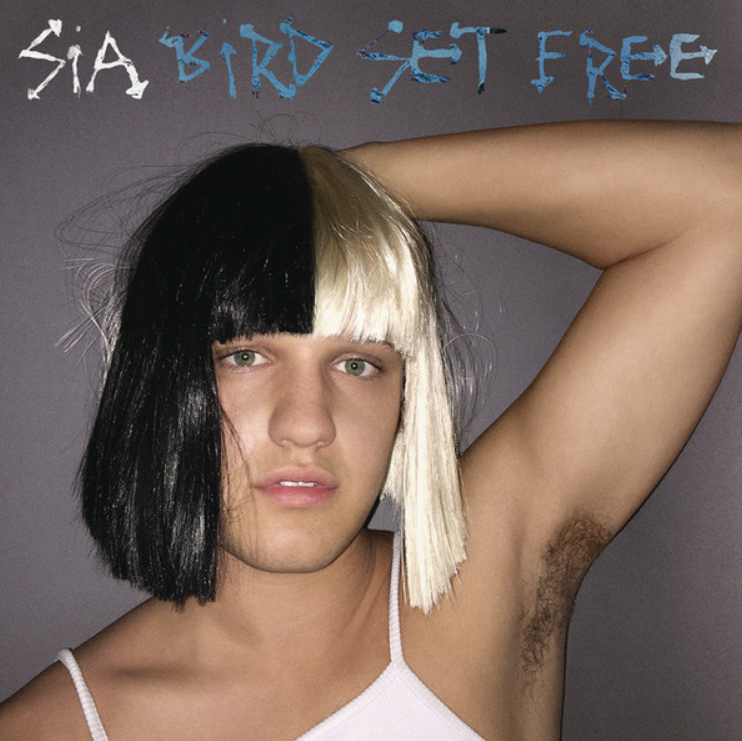 Sia - Bird Set Free ноты для фортепиано