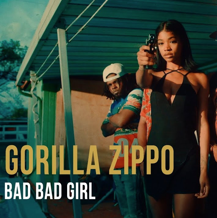 Зиппо баста. Gorilla Zippo Bad Bad girl. Горилла зиппо. Баста горилла зиппо. Gorilla Zippo Bad Bad girl девушка.