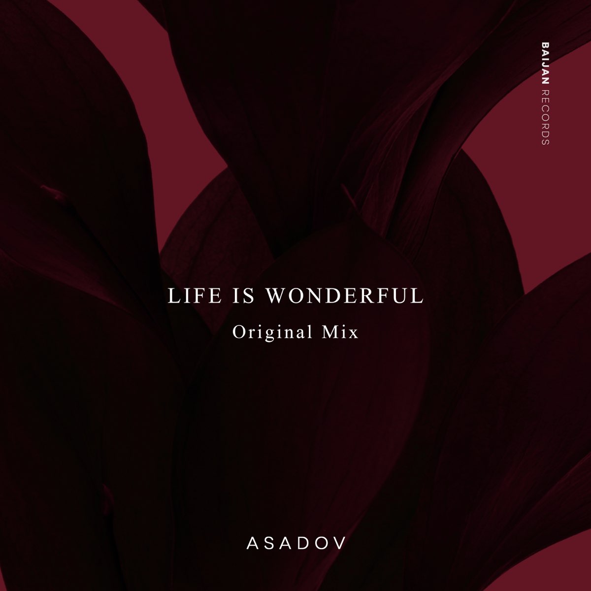 Everything was wonderful. Asadov Life is wonderful. Asadov - Life is wonderful (Original Mix). Asadov Life is wonderful перевод. Asadov come again.