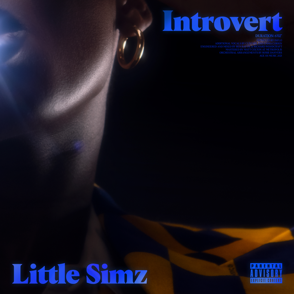 Little Simz - Introvert аккорды