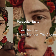 Shawn Mendes - Particular Taste ноты для фортепиано