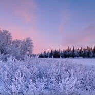 Антонио Вивальди - 4 Seasons. Winter, movement 1: Allegro non molto ноты для фортепиано