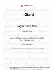 Ноты, аккорды Calvin Harris, Rag'n'Bone Man - Giant